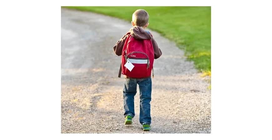 Jaki plecak dla dziecka do pierwszej klasy, aby uniknąć bólu pleców?